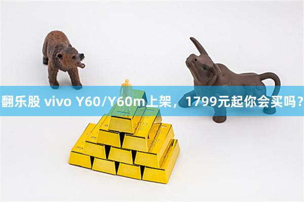 翻乐股 vivo Y60/Y60m上架，1799元起你会买吗？