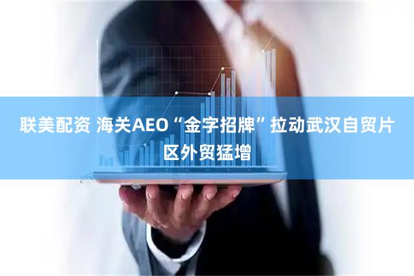 联美配资 海关AEO“金字招牌”拉动武汉自贸片区外贸猛增